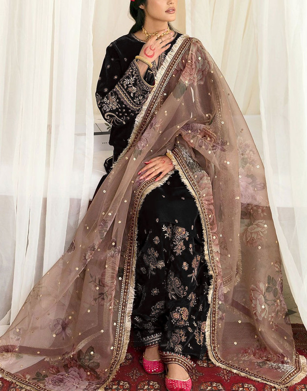 Heavy Embroidered Velvet Party Wear Dress with Emb. Organza Dupatta image 3