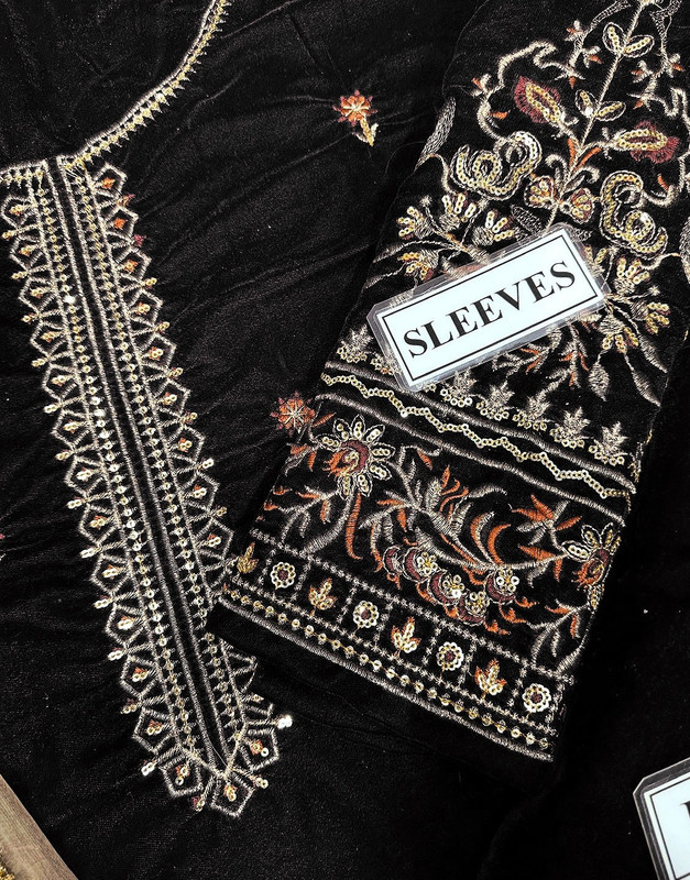 Heavy Embroidered Velvet Party Wear Dress with Emb. Organza Dupatta image 5