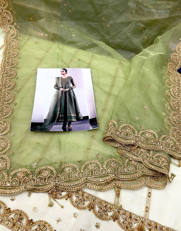 Handwork Embroidered Organza Party Wear Frock with Silk Trouser image 6