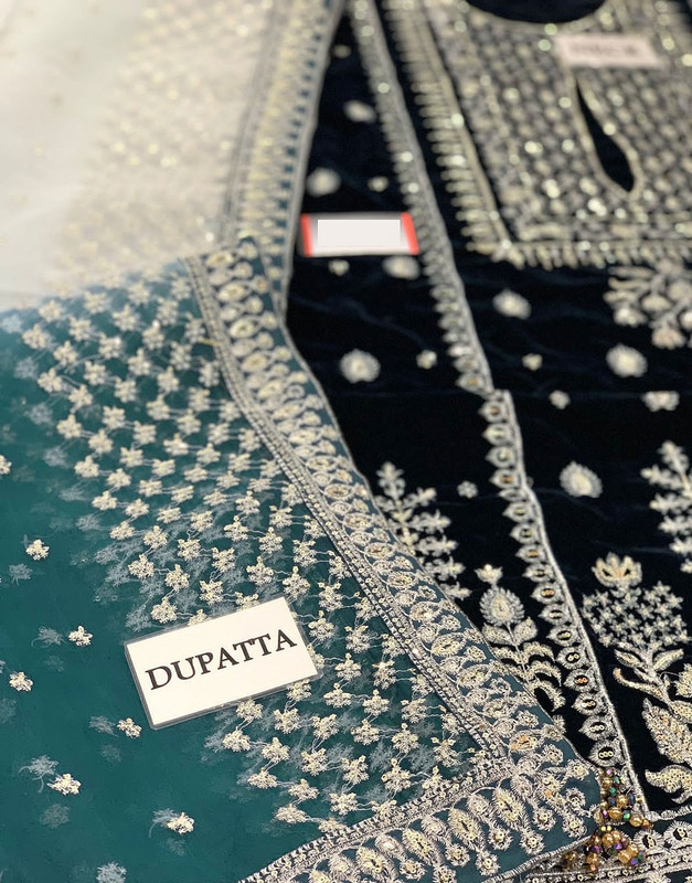 Luxury Heavy Embroidered Velvet Wedding Dress with Emb. Raw Silk Trouser image 8