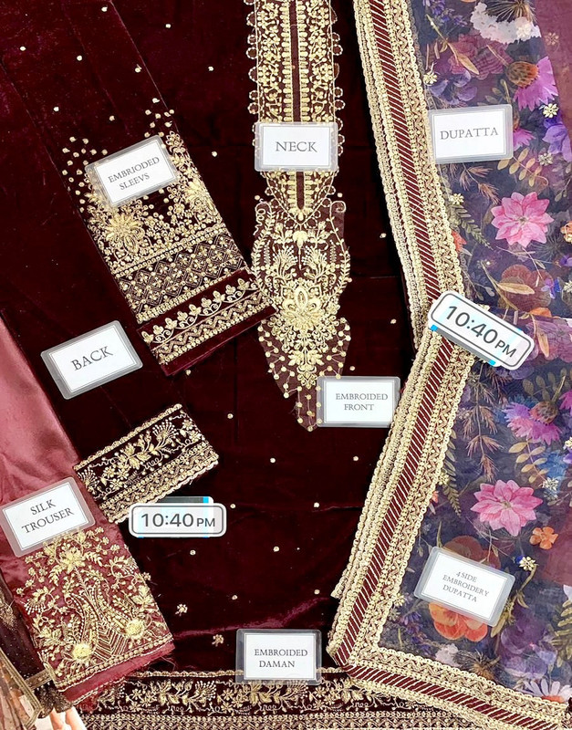 Luxury Heavy Embroidered Velvet Wedding Dress with Emb. Silk Trouser image 4