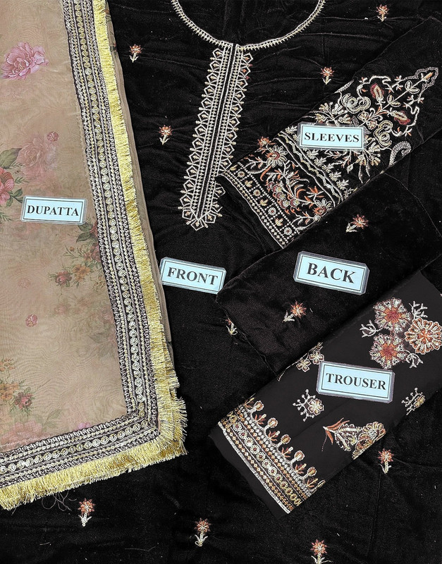 Heavy Embroidered Velvet Party Wear Dress with Emb. Organza Dupatta image 4