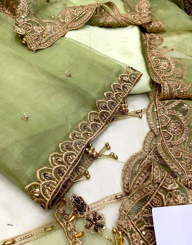 Handwork Embroidered Organza Party Wear Frock with Silk Trouser image 5