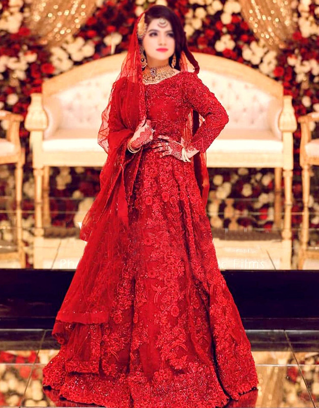 3D and Handwork Heavy Embroidered Net Bridal Maxi Dress 2025 (58 inch length).